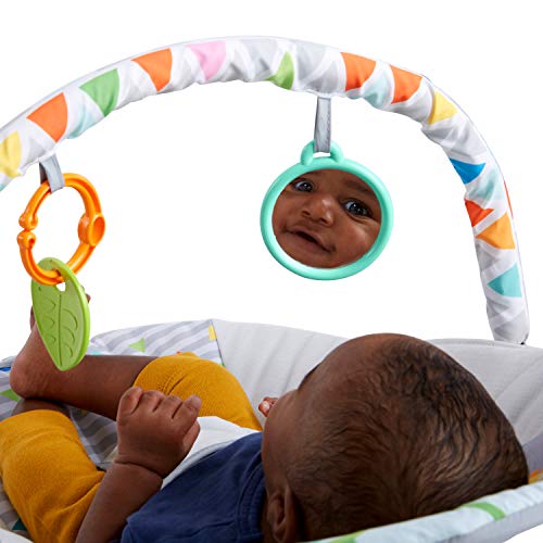 Bright Starts beebitool Safari Fun, vibratsiooniga lamamistool, kuni 9kg