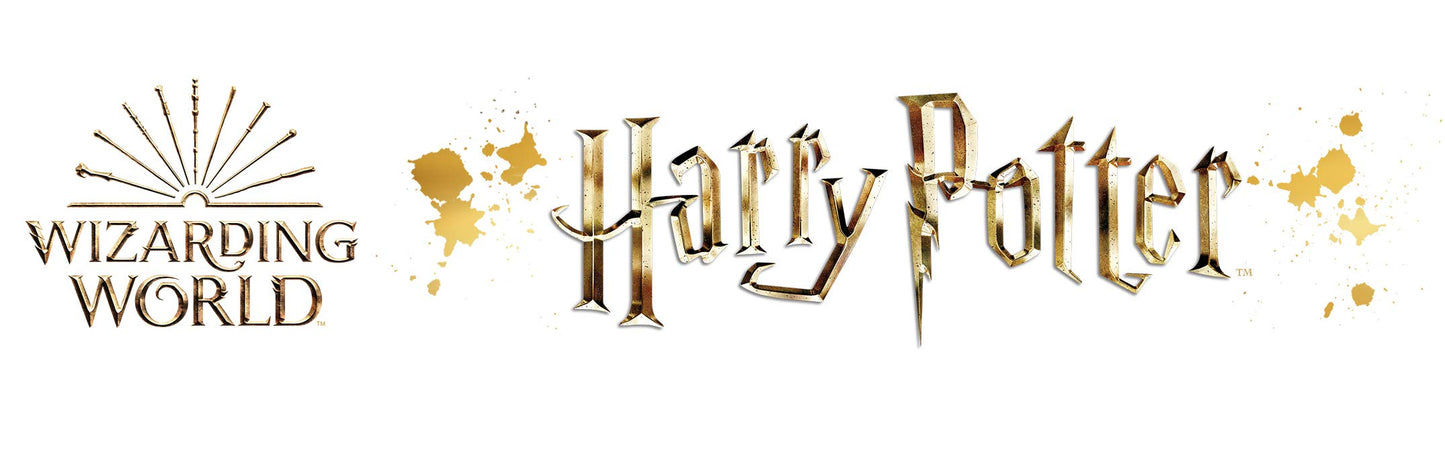 Ametlik Gryffindori kostüüm, Harry Potter, 9–11 a