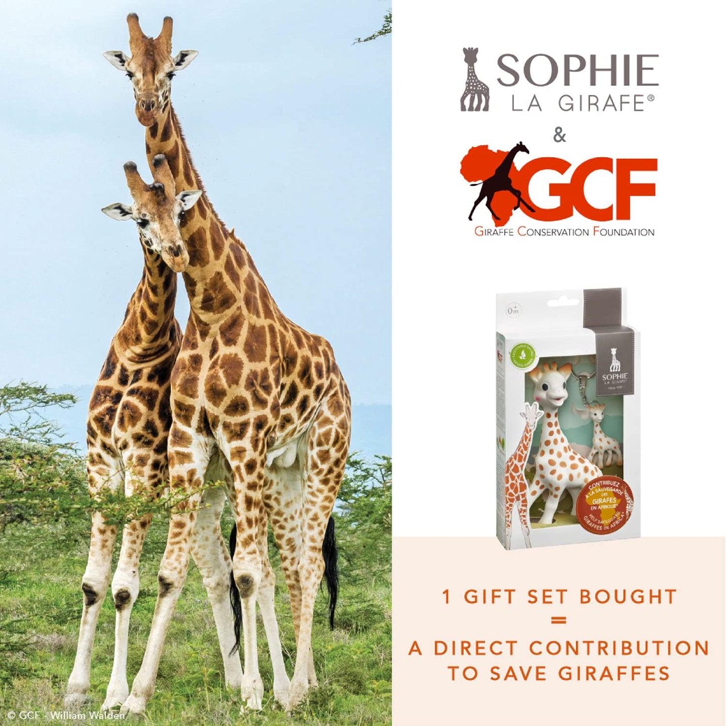 Sophie la girafe kinkekomplekt (mänguasi ja mini võtmehoidja)