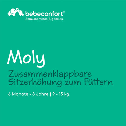Bebeconfort Moly söögitooli iste, 6 kuud–3 aastat, 9–15 kg, Tinted Grey