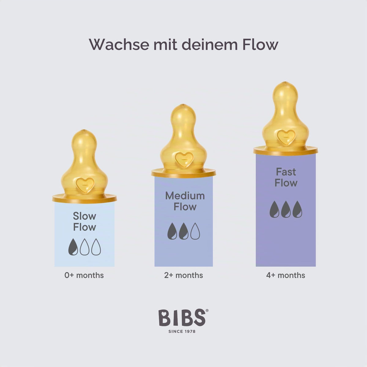 Bibs lutipudeli lutt 2 tk, Slow Flow, naturkummist/lateks