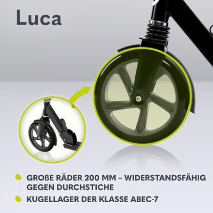 Lionelo Luca tõukeratas, kokkupandav, 200 mm PU-rattad, kuni 100 kg