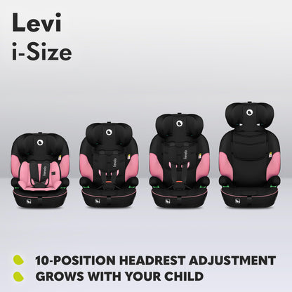 Lionelo LEVI i-Size turvatool, 9–36 kg, roosa