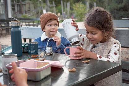 LÄSSIG roostevabast terasest lõunakarp Adventure Tipi, roosa
