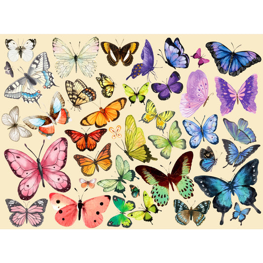 TAOZI&LIZHI liblikate pusle „Butterfly Beauty“, 1000 tükki