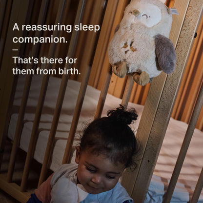 Tommee Tippee OllieOwl Deluxe helide ja valgusega uneabiline beebidele, CrySensor, USB-laetav